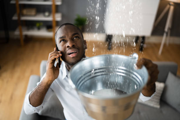Best Carpet water damage restoration  in Zephyrhills West, FL