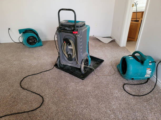 Sewage cleanup and water damage restoration in Zephyrhills West, FL