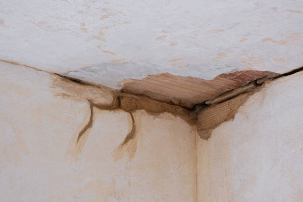 Best Water damage restoration specialists  in Zephyrhills West, FL