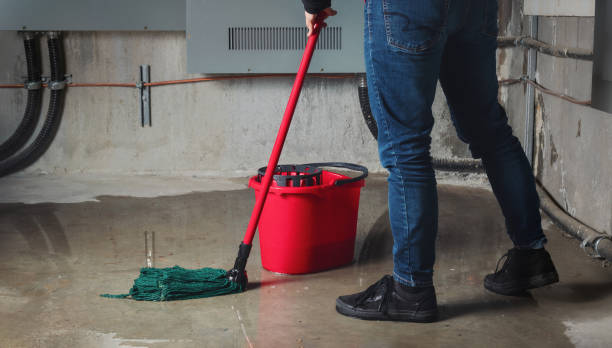 Best Professional water damage repair  in Zephyrhills West, FL