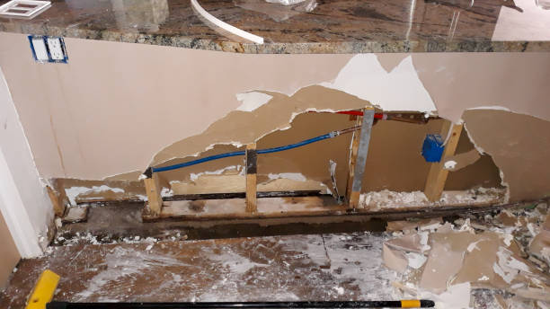 Best Local water damage restoration  in Zephyrhills West, FL