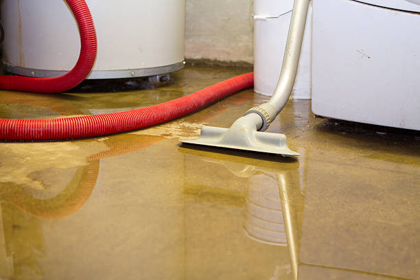 Reliable Zephyrhills West, FL Water damage restoration Solutions