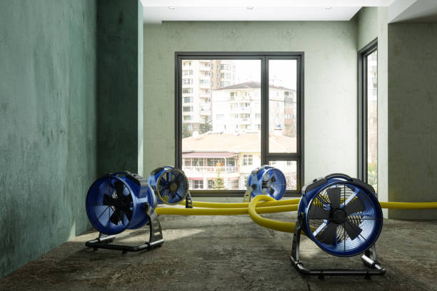 Best Emergency water damage restoration  in Zephyrhills West, FL