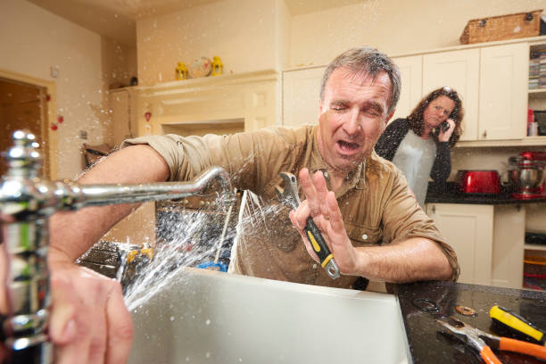 Best Water damage contractors near me  in Zephyrhills West, FL